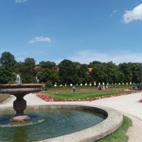 Vzdělávání pedagogů: jazykové kurzy