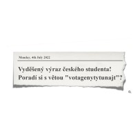 Vzdělávání pedagogů: jazykové kurzy