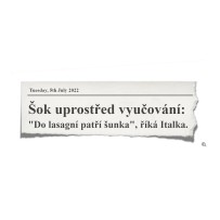 Vzdělávání pedagogů: jazykové kurzy
