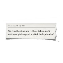 Vzdělávání pedagogů: jazykové kurzy