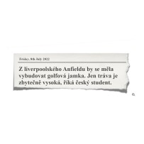 Vzdělávání pedagogů: jazykové kurzy