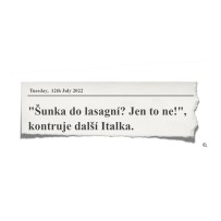 Vzdělávání pedagogů: jazykové kurzy