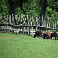 Adaptační týden - Farmapark