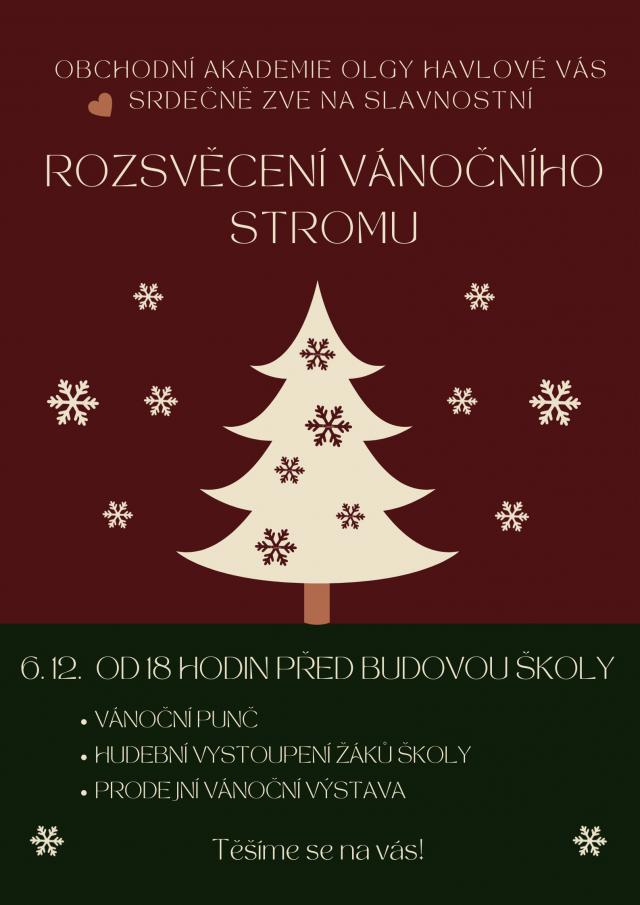 Rozsvěcení vánočního stromu